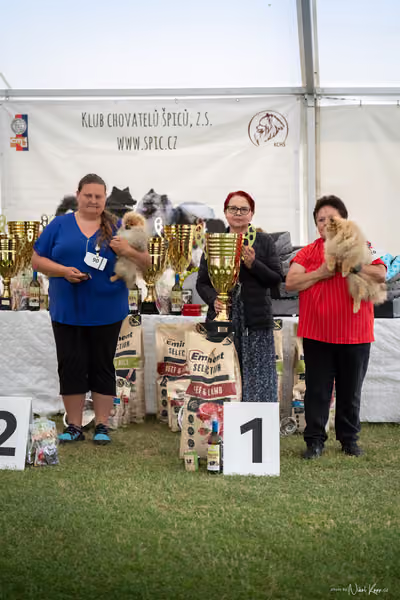 Klubová výstava KCHŠ — NEDĚLE - KCHŠ – 31. května 2026