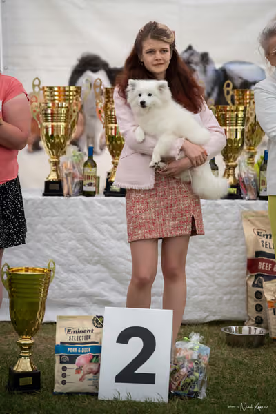Klubová výstava KCHŠ — NEDĚLE - KCHŠ – 31. května 2026