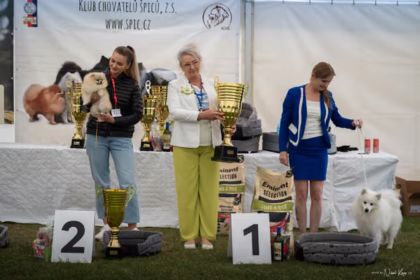Klubová výstava KCHŠ — NEDĚLE - KCHŠ – 31. května 2026