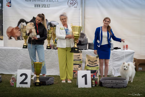 Klubová výstava KCHŠ — NEDĚLE - KCHŠ – 31. května 2026