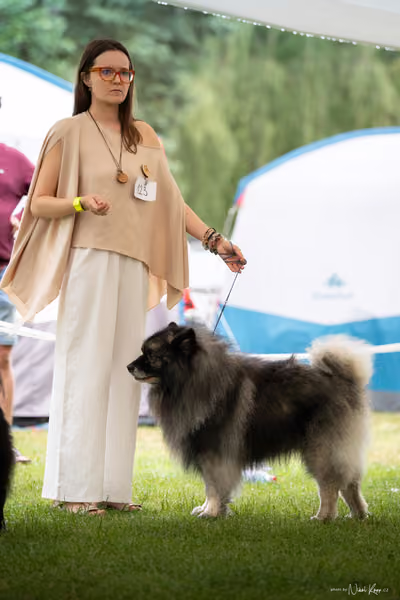 Klubová výstava KCHŠ — NEDĚLE - KCHŠ – 31. května 2026