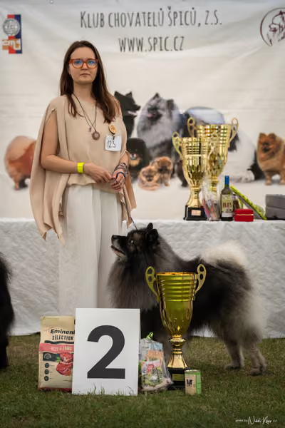 Klubová výstava KCHŠ — NEDĚLE - KCHŠ – 31. května 2026