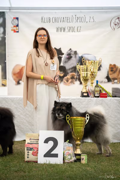 Klubová výstava KCHŠ — NEDĚLE - KCHŠ – 31. května 2026