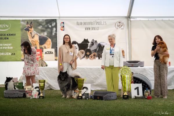 Klubová výstava KCHŠ — NEDĚLE - KCHŠ – 31. května 2026