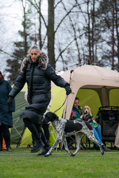 Oblastní výstava s OKV jezevčíků - Provodovice – KRUH 1