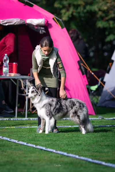 Krajská Hubertská výstava - Provodovice – KRUH 4