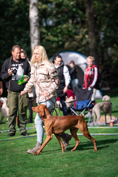 Krajská Hubertská výstava - Provodovice – KRUH 4