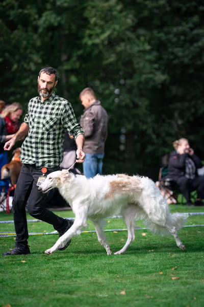 Krajská Hubertská výstava - Provodovice – KRUH 4