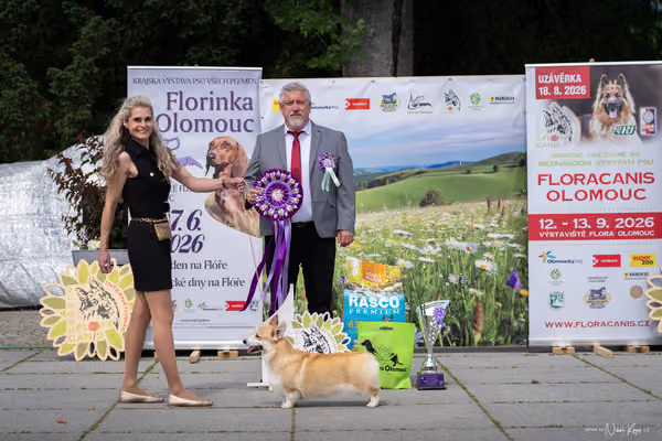 Florinka Olomouc — Krajská výstava – 7. června 2026
