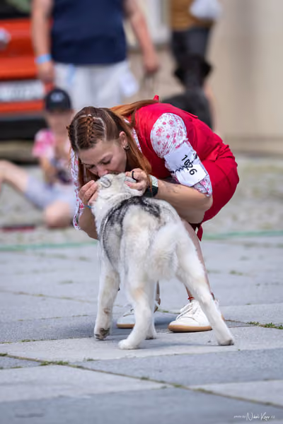 Florinka Olomouc — Krajská výstava – ŠTĚNĚ