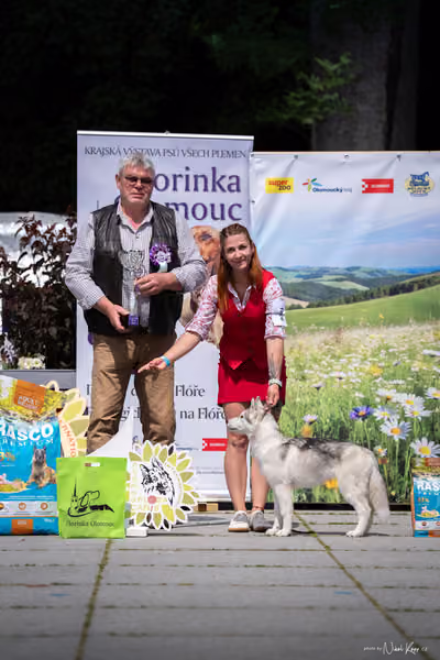Florinka Olomouc — Krajská výstava – ŠTĚNĚ