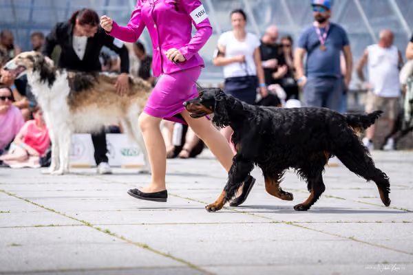 Florinka Olomouc — Krajská výstava – 7. června 2026