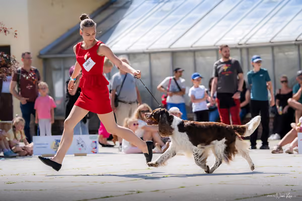 Florinka Olomouc — Krajská výstava – 7. června 2026