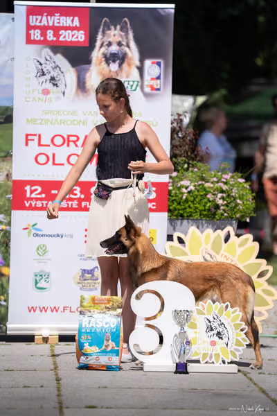 Florinka Olomouc — Krajská výstava – JH1