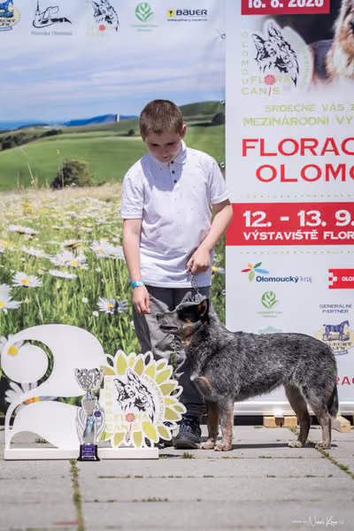 Florinka Olomouc — Krajská výstava – JH1