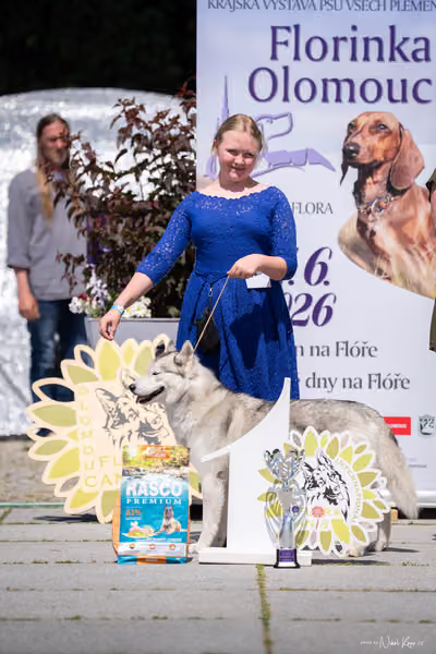Florinka Olomouc — Krajská výstava – JH1