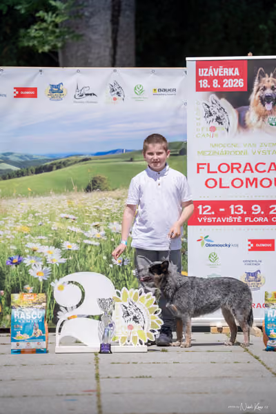 Florinka Olomouc — Krajská výstava – JH1