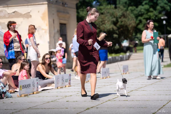 Florinka Olomouc — Krajská výstava – JH2