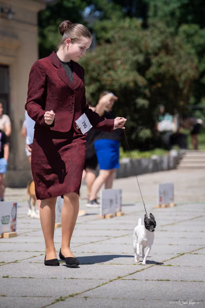 Florinka Olomouc — Krajská výstava – JH2