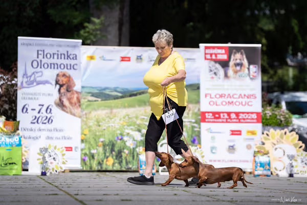 Florinka Olomouc — Krajská výstava – PÁRY