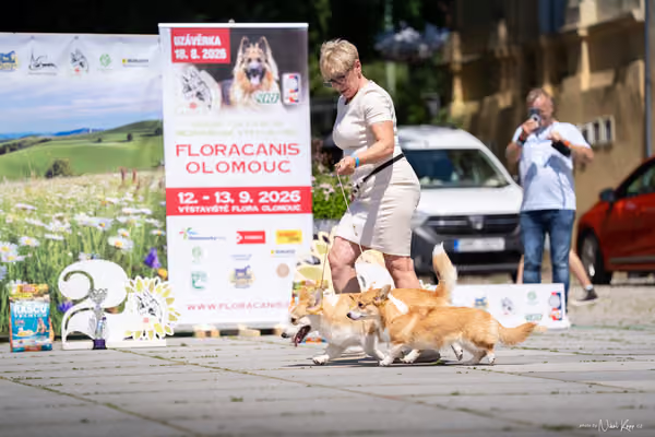 Florinka Olomouc — Krajská výstava – PÁRY