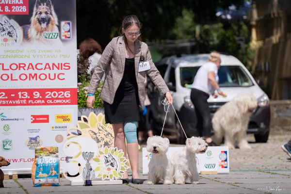 Florinka Olomouc — Krajská výstava – PÁRY