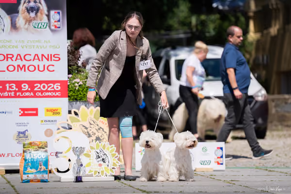 Florinka Olomouc — Krajská výstava – PÁRY