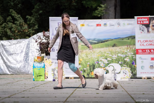 Florinka Olomouc — Krajská výstava – PÁRY