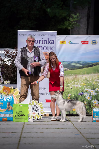 Florinka Olomouc — Krajská výstava – ŠTĚNĚ
