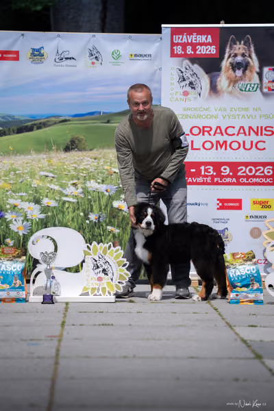 Florinka Olomouc — Krajská výstava – ŠTĚNĚ