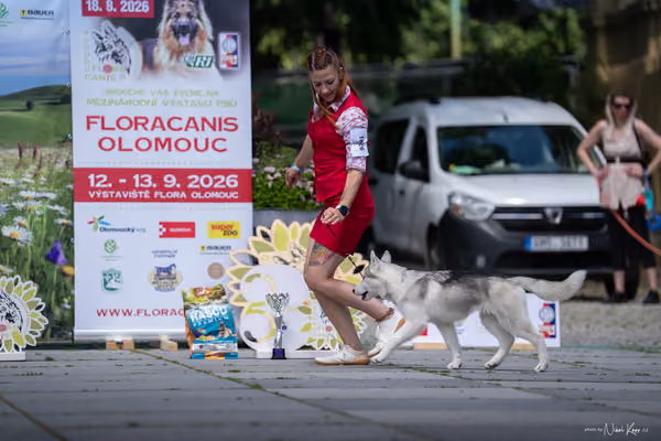 Florinka Olomouc — Krajská výstava – ŠTĚNĚ