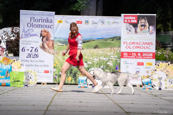 Florinka Olomouc — Krajská výstava – ŠTĚNĚ