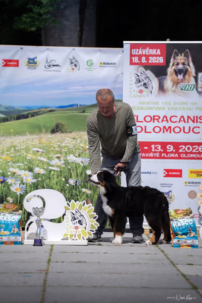 Florinka Olomouc — Krajská výstava – ŠTĚNĚ