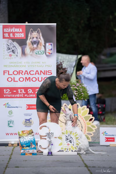 Florinka Olomouc — Krajská výstava – ŠTĚNĚ