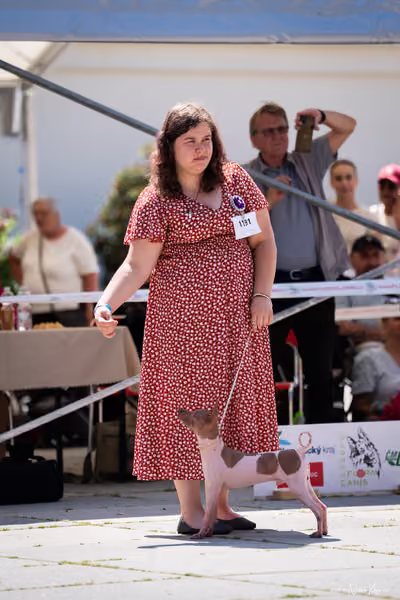 Florinka Olomouc — Krajská výstava – 7. června 2026