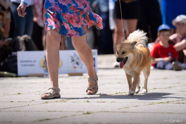Florinka Olomouc — Krajská výstava – 7. června 2026