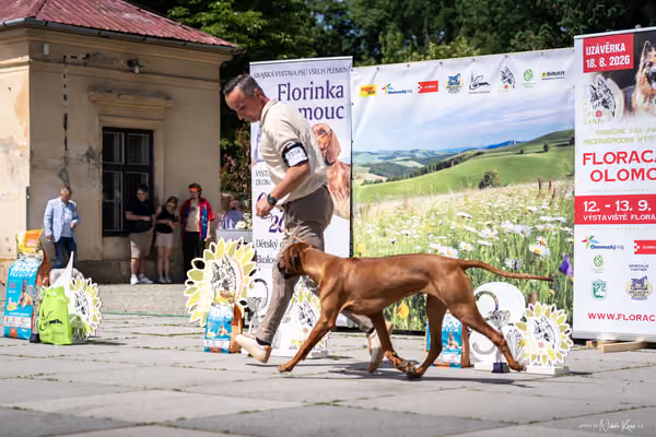 Florinka Olomouc — Krajská výstava – 7. června 2026