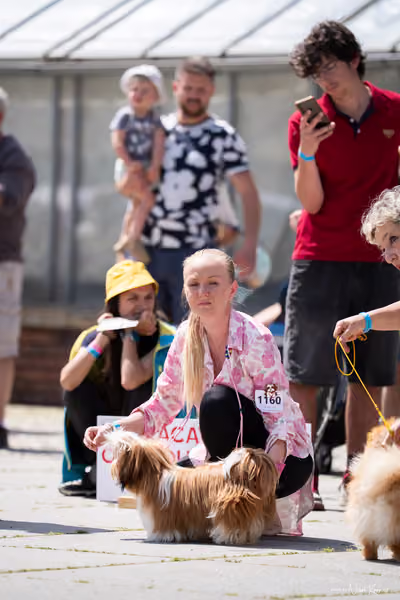 Florinka Olomouc — Krajská výstava – 7. června 2026