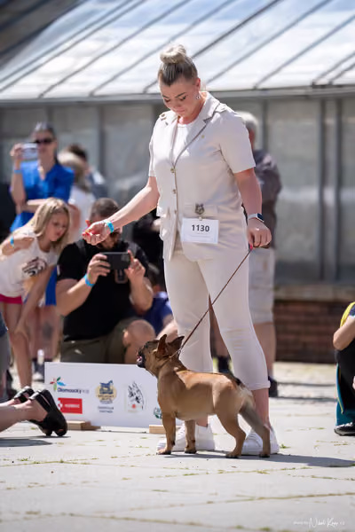 Florinka Olomouc — Krajská výstava – 7. června 2026
