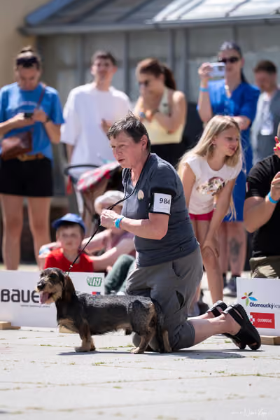 Florinka Olomouc — Krajská výstava – 7. června 2026