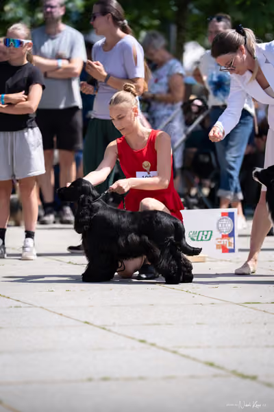 Florinka Olomouc — Krajská výstava – DOROST