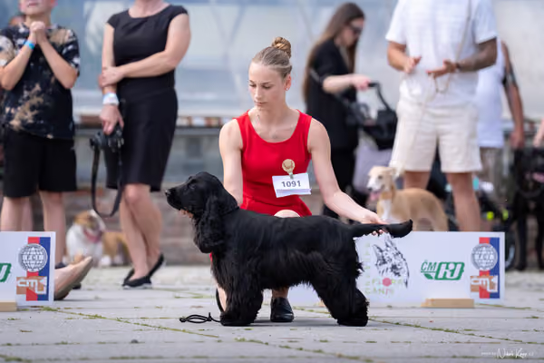 Florinka Olomouc — Krajská výstava – 7. června 2026