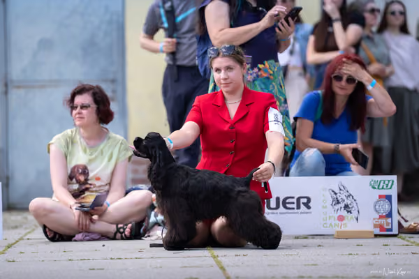 Florinka Olomouc — Krajská výstava – 7. června 2026