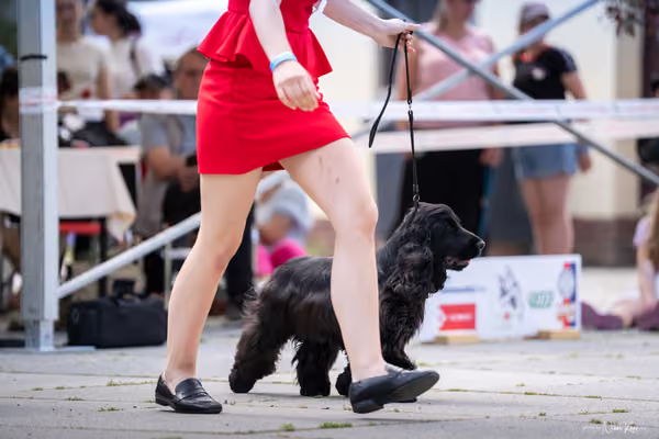 Florinka Olomouc — Krajská výstava – 7. června 2026