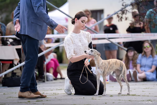 Florinka Olomouc — Krajská výstava – 7. června 2026