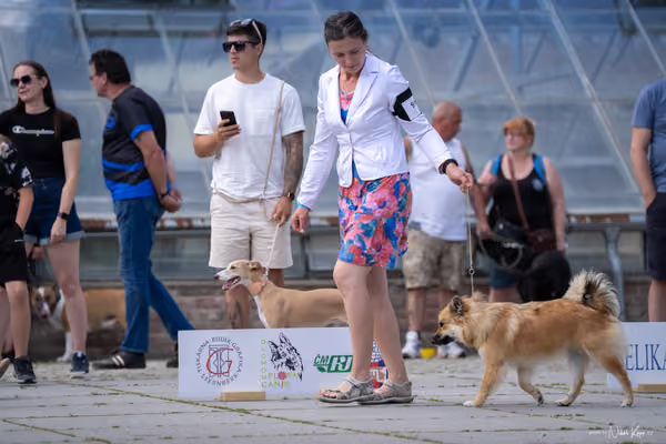 Florinka Olomouc — Krajská výstava – 7. června 2026