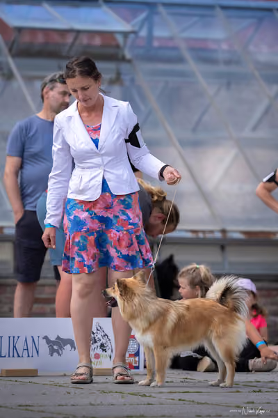 Florinka Olomouc — Krajská výstava – 7. června 2026