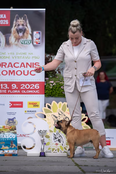 Florinka Olomouc — Krajská výstava – DOROST