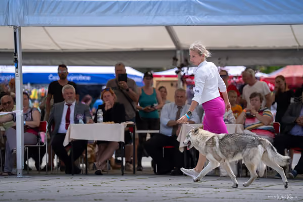 Florinka Olomouc — Krajská výstava – 7. června 2026