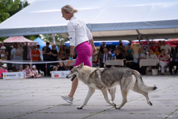Florinka Olomouc — Krajská výstava – 7. června 2026